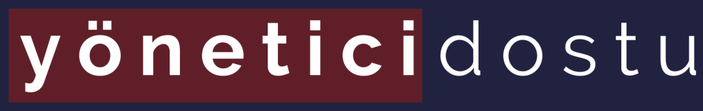 Yönetici Dostu Logo